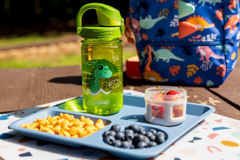 Nalgene product image: 12oz On-The-Fly Kids Lock-Top Bottle with Graphics Z0 — 12oz On-The-Fly Kids Lock-Top Bottle with Graphics